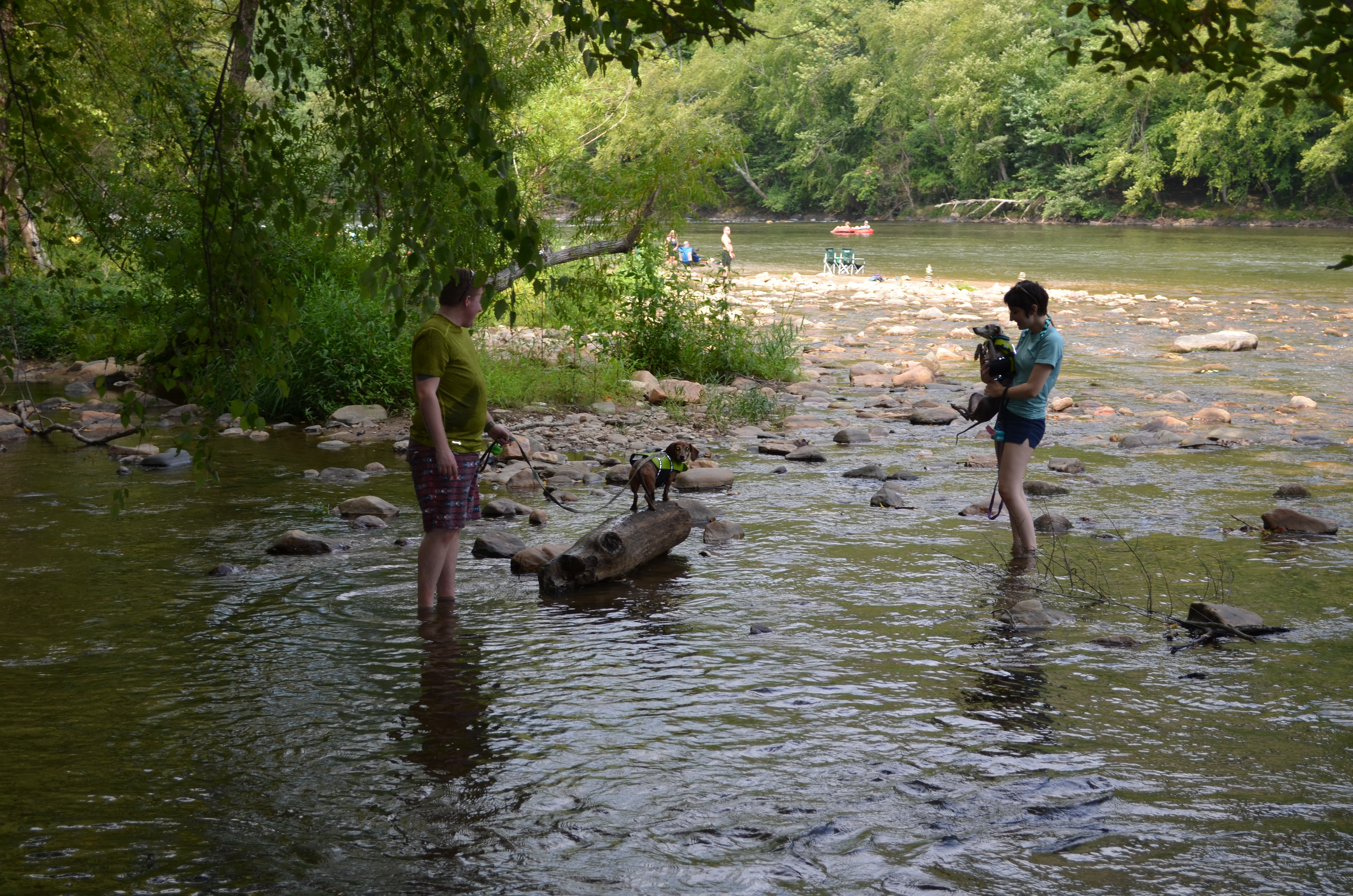 ./2014/Hot Springs/DSC_5428.JPG